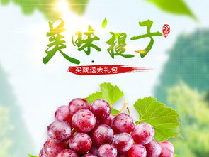 水果葡萄提子菩提水蜜桃主圖直通車PSD設(shè)計(jì)素材 高清模板下載與食品茶飲應(yīng)用大全